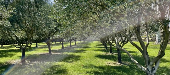 Imóvel comercial em Tourtour, France 1044 m² N.º 1584 3