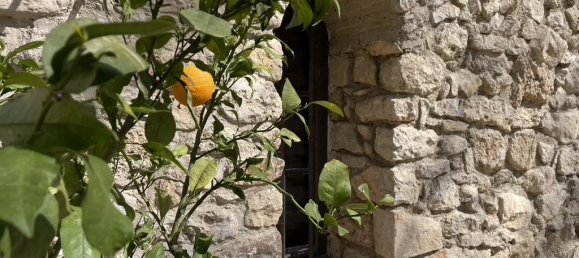 Imóvel comercial em Tourtour, France 1044 m² N.º 1584 4