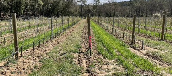 Imóvel comercial em Tourtour, France 1044 m² N.º 1584 7