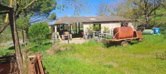 7غرفة منزل في Scansano, Italy رقم 197860 15