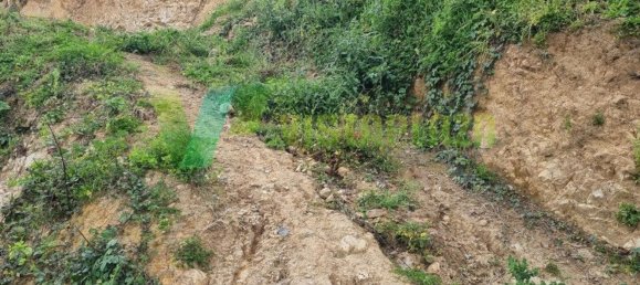 3560m² Land in Monchique, Portugal No. 32612 8