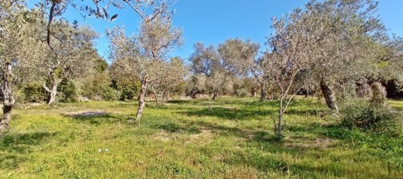 Terreno em Sorso, Italy 3400 m² N.º 194874 6