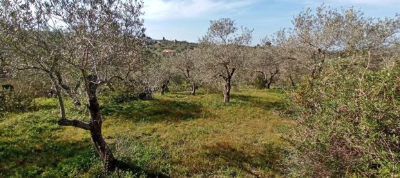 Terreno em Sorso, Italy 3400 m² N.º 194874 12