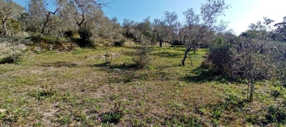 Terreno em Sorso, Italy 3400 m² N.º 194874 14