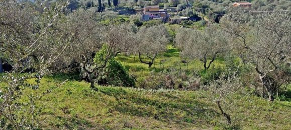 Terreno em Sorso, Italy 3400 m² N.º 194874 4