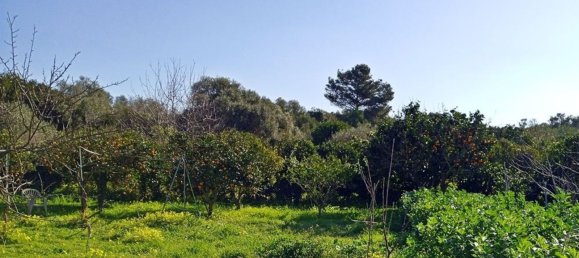 Terreno em Sorso, Italy 3400 m² N.º 194874 17