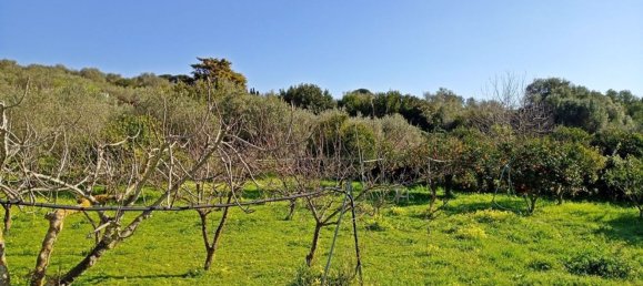 Terreno em Sorso, Italy 3400 m² N.º 194874 16