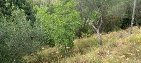 4000m² Land in Albisola Superiore, Italy No. 85815 3