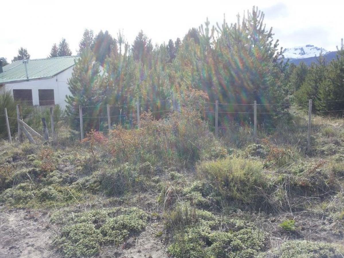 Terrain à Neuquen, Argentina No. 46964