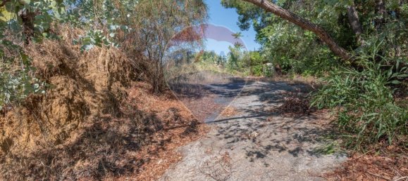 Villa de 6 dormitorios en Grammichele, Italy No. 326115 25