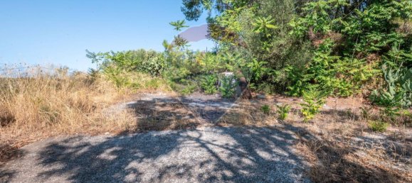 Villa de 6 dormitorios en Grammichele, Italy No. 326115 24