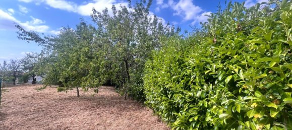 1 bedroom House in Saint-Medard-en-Forez, France No. 281726 2