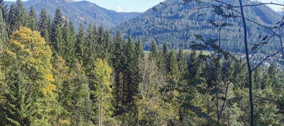 Grundstück in Spital am Semmering, Austria, Nr. 61870 3