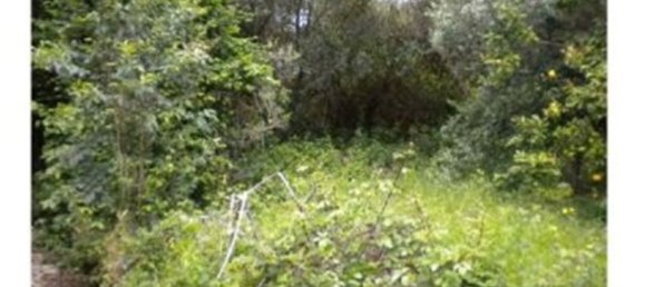 4 bedrooms Villa in Velletri, Italy No. 338045 7