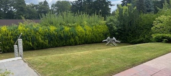 1 bedroom House in Gustrow, Germany No. 263946 4