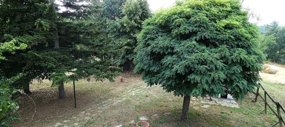 2 bedrooms House in Piana Crixia, Italy No. 288991 5