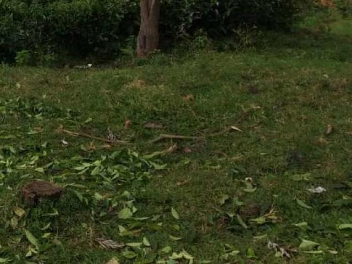 Grundstück in Tamil Nadu, India, Nr. 38587