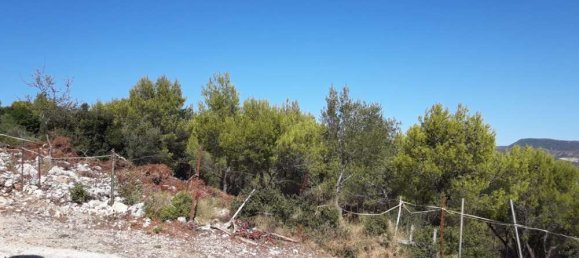 1 bedroom Commercial property in Zakynthos, Greece No. 565 16