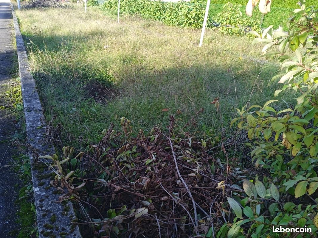  Land in Neufchef, France No. 338419