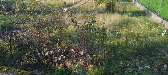  Land in Neufchef, France No. 338419 3