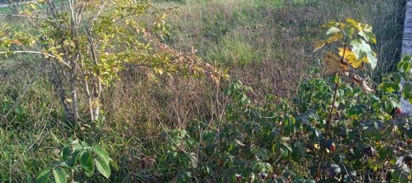  Land in Neufchef, France No. 338419 2