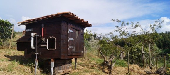 1 bedroom Land in Sachsische Schweiz-Osterzgebirge, Germany No. 224408 14