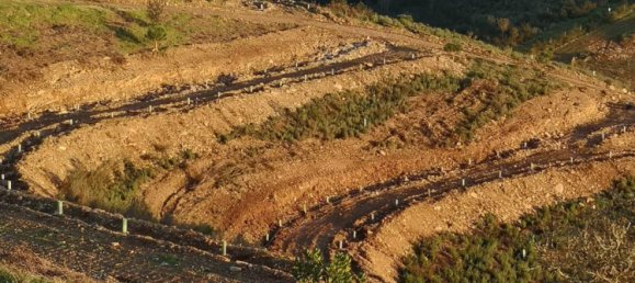 1 bedroom Land in Sachsische Schweiz-Osterzgebirge, Germany No. 224408 13