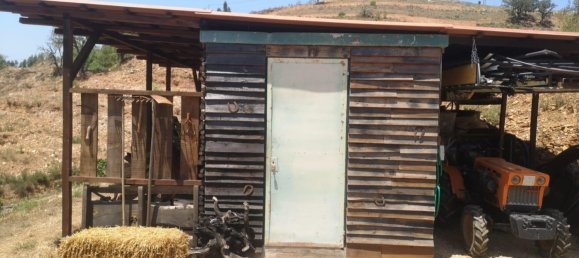 1 bedroom Land in Sachsische Schweiz-Osterzgebirge, Germany No. 224408 20