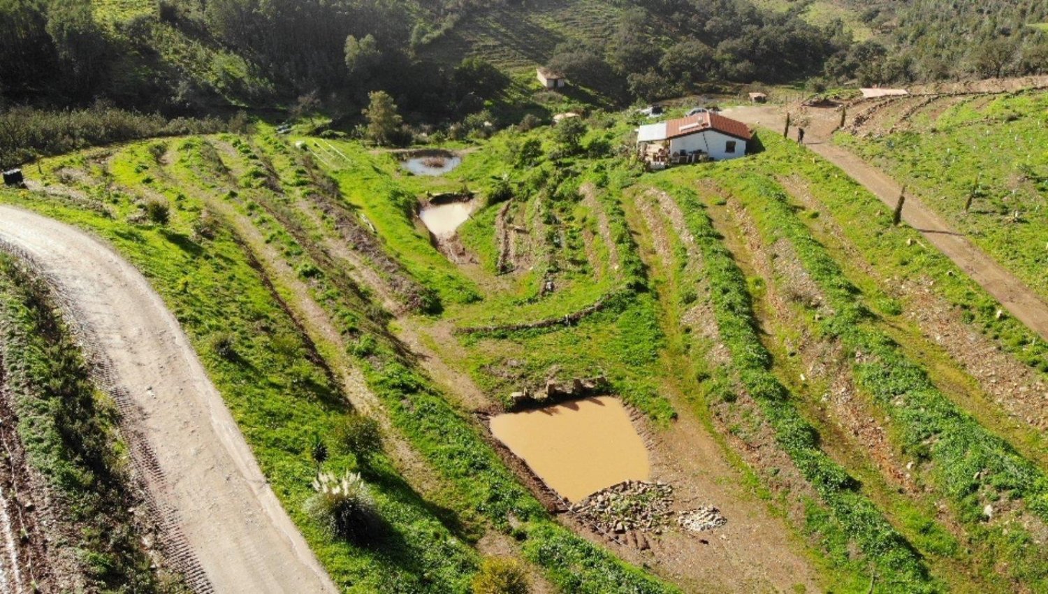 1 bedroom Land in Sachsische Schweiz-Osterzgebirge, Germany No. 224408