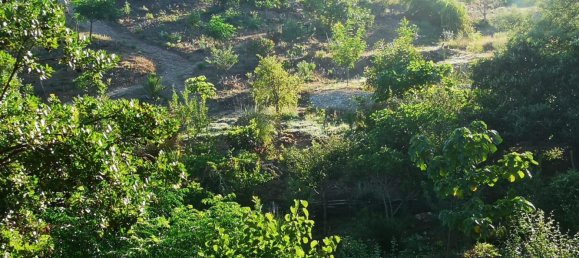 1 bedroom Land in Sachsische Schweiz-Osterzgebirge, Germany No. 224408 15