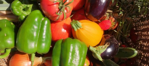 1 bedroom Land in Sachsische Schweiz-Osterzgebirge, Germany No. 224408 12