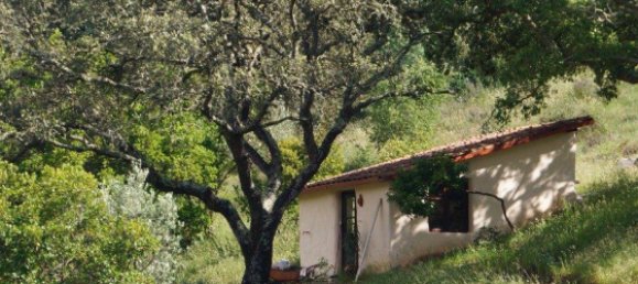 1 bedroom Land in Sachsische Schweiz-Osterzgebirge, Germany No. 224408 9