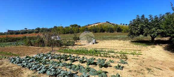 900m² Land in San Benedetto del Tronto, Italy No. 78224 11