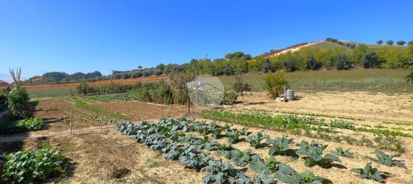 900m² Land in San Benedetto del Tronto, Italy No. 78224 10