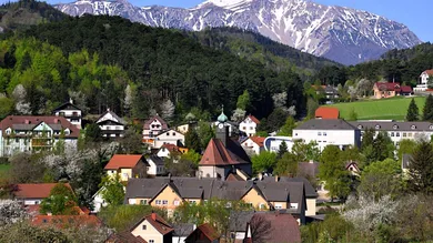 3 rooms House in Grunbach am Schneeberg, Austria No. 219660