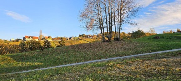 Terreno em Leibnitz, Austria 10000 m² N.º 238361 7