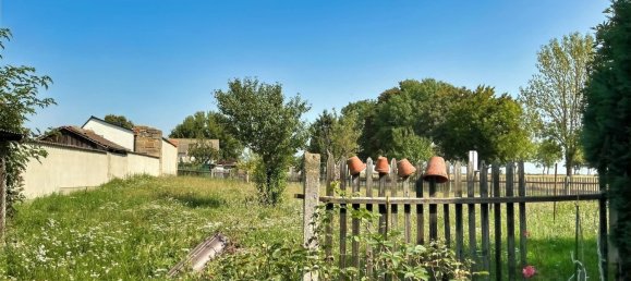 Granja de 10 habitaciónes en Saalekreis, Germany No. 369738 11