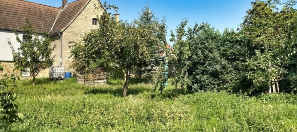 Granja de 10 habitaciónes en Saalekreis, Germany No. 369738 10