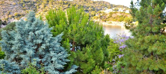 3 غرف نوم عقار تجاري في Loutraki, Greece رقم 7133 4