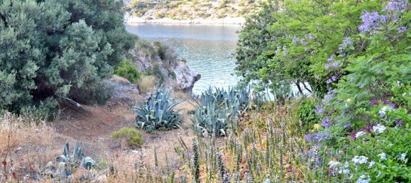 3 غرف نوم عقار تجاري في Loutraki, Greece رقم 7133 3