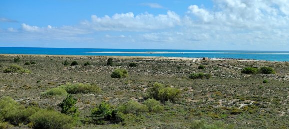 1 غرف نوم منزل ذو طابقين في Grandola, Portugal رقم 60279 19