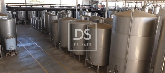 8 bedrooms Land in Elvas, Portugal No. 146472 16