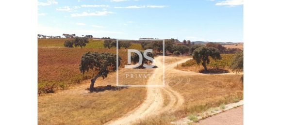 8 bedrooms Land in Elvas, Portugal No. 146472 12