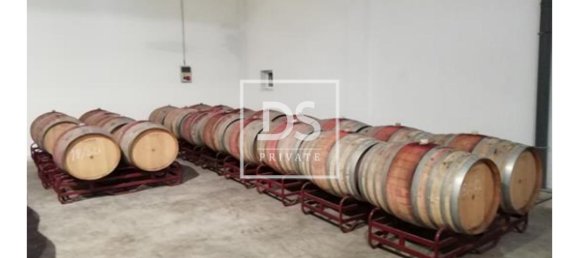 8 bedrooms Land in Elvas, Portugal No. 146472 26