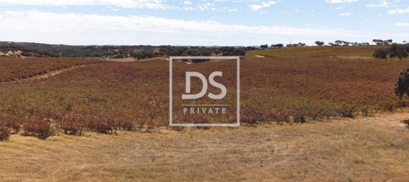 8 bedrooms Land in Elvas, Portugal No. 146472 5