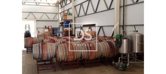 8 bedrooms Land in Elvas, Portugal No. 146472 25