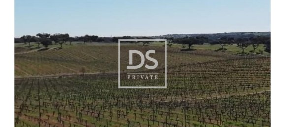 8 bedrooms Land in Elvas, Portugal No. 146472 4