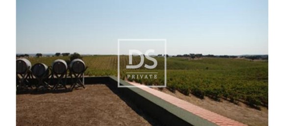 8 bedrooms Land in Elvas, Portugal No. 146472 10