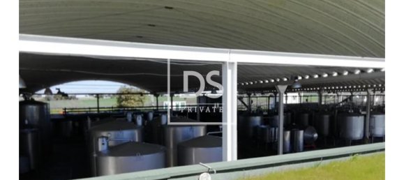 8 bedrooms Land in Elvas, Portugal No. 146472 18