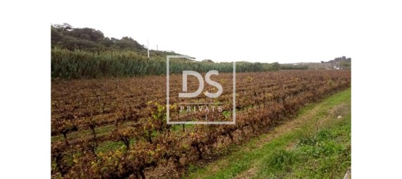 8 bedrooms Land in Elvas, Portugal No. 146472 7